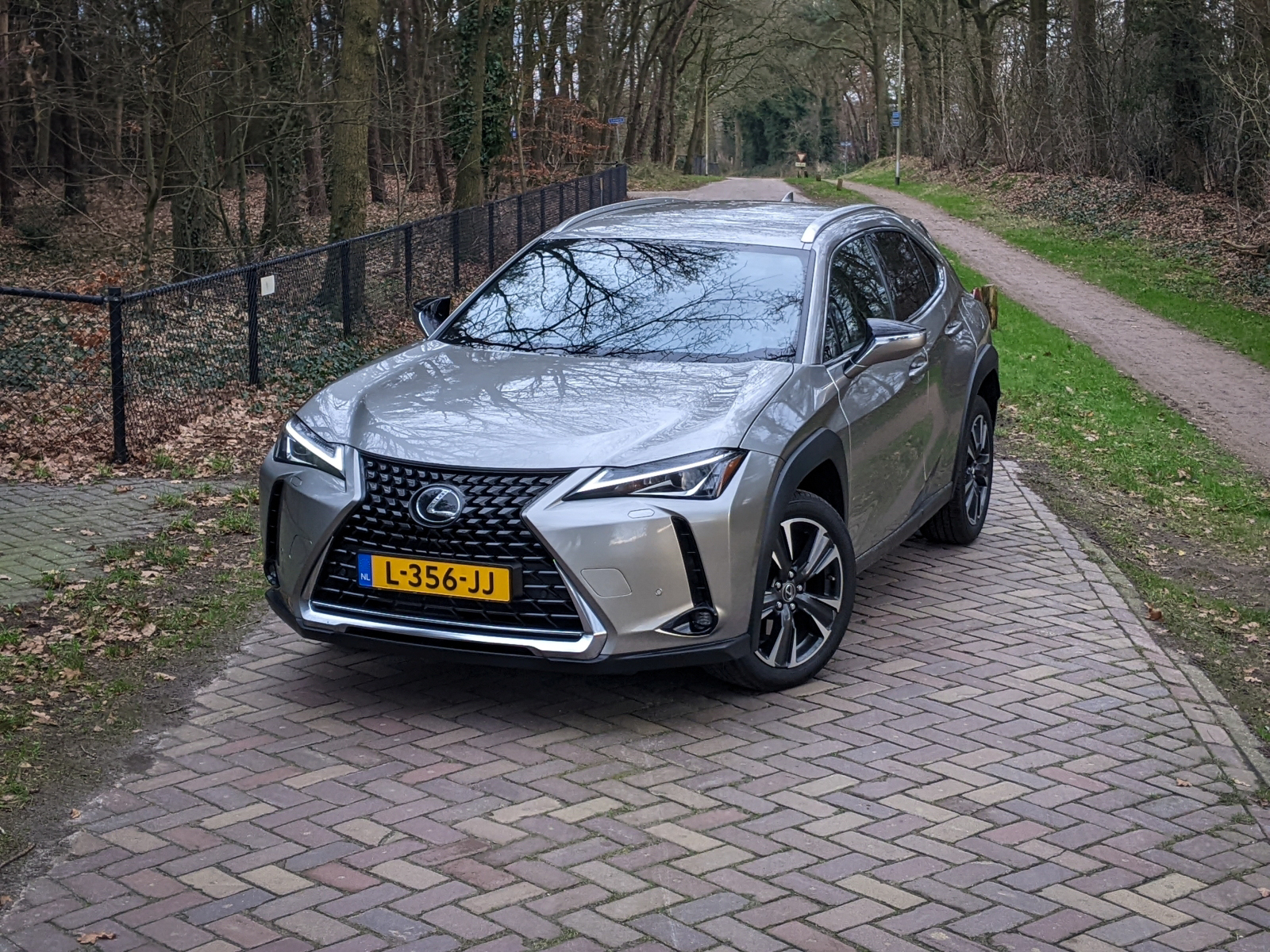 Een zilveren Lexus UX 200 SUV met Nederlands kenteken "L-356-JJ" staat geparkeerd op een klinkerpad in een bosrijke omgeving.