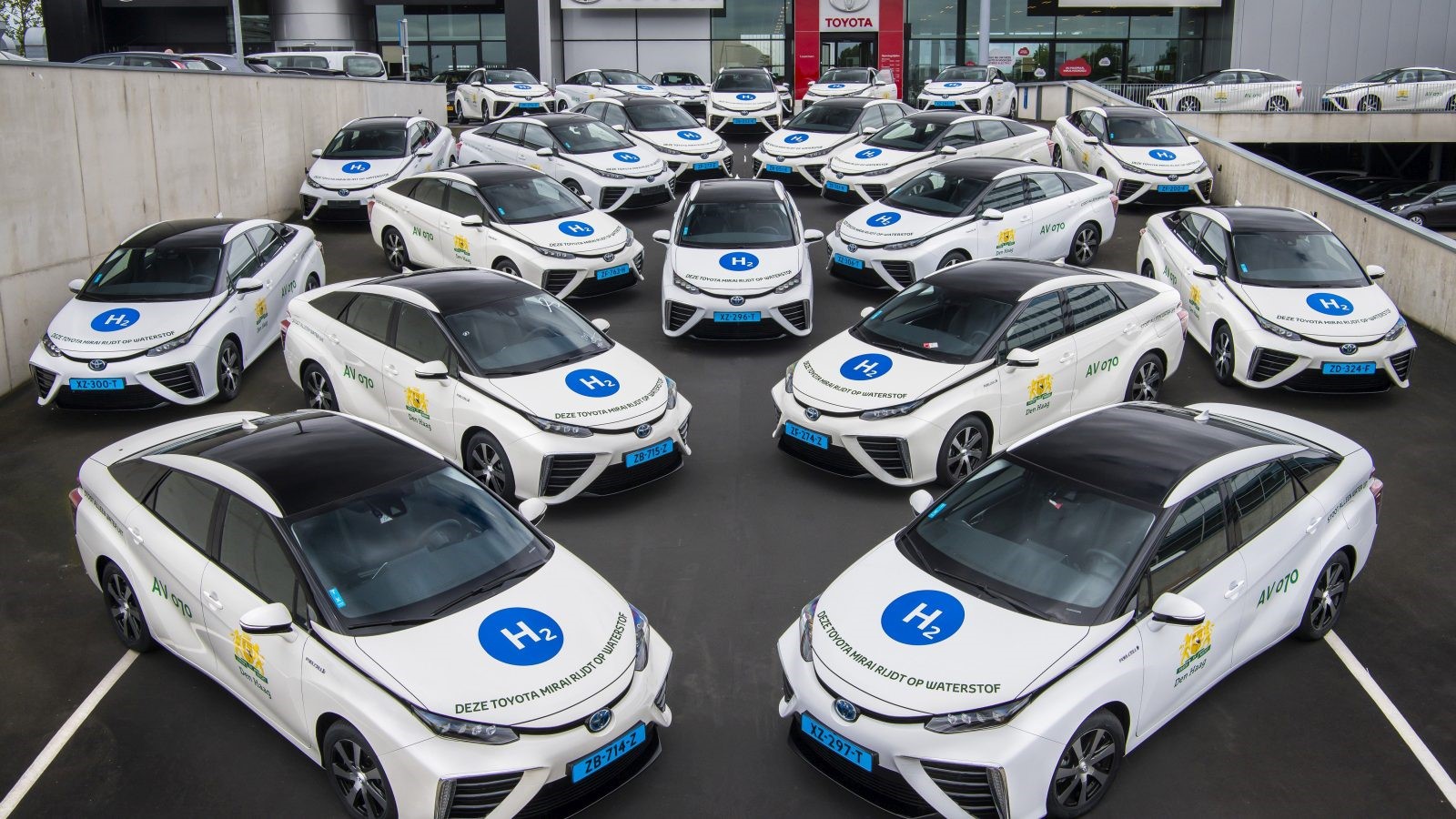 Een vloot witte waterstofauto's met blauwe "H2"-logo's staat geparkeerd op een parkeerplaats in de buurt van een Toyota-dealer.