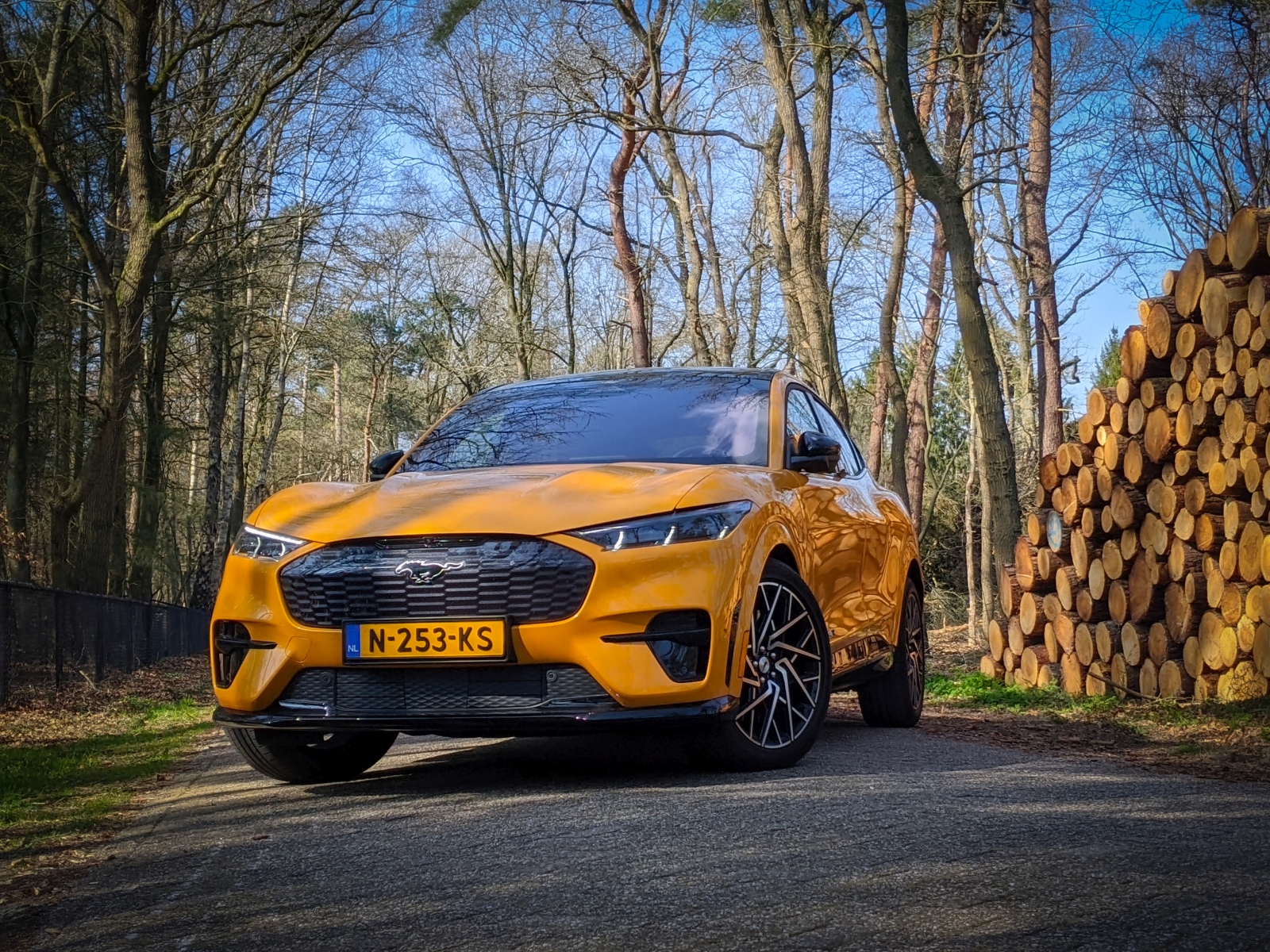 Een gele elektrische SUV Ford Mustang Mach-e staat geparkeerd op een bospad naast een stapel gekapte boomstammen. Bomen met kale takken omringen het voertuig en op het kenteken staat "N-253-KS.