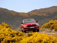 Een rode Skoda Karoq rijdt over een onverharde weg omgeven door geelbloeiende struiken, met heuvels op de achtergrond onder een heldere hemel.