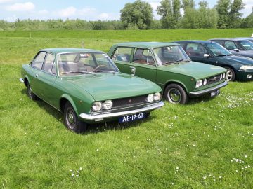 Twee groene klassieke auto's, werkelijk elk merkwaardig, geparkeerd op een grasveld met op de achtergrond nog meer auto's zichtbaar. De auto aan de linkerkant heeft kenteken AE-17-61 en de auto aan de rechterkant heeft 78-03-FR.