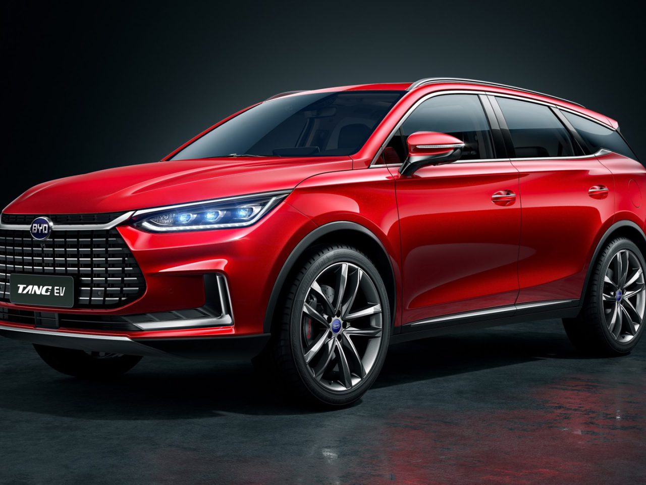 BYD-Nederland-Louwman