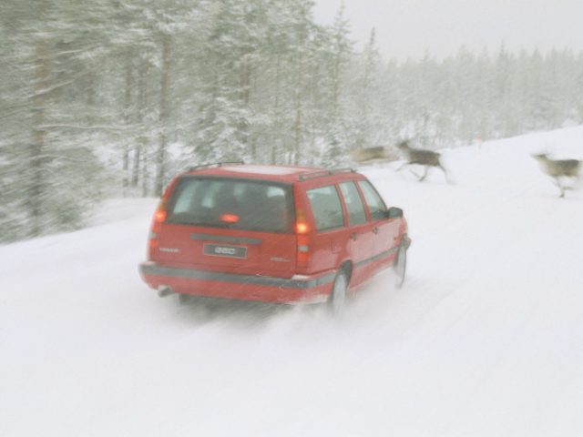 Een rode Volvo 850 stationwagen rijdt door een besneeuwde bosweg terwijl er twee rendieren voor oversteken.