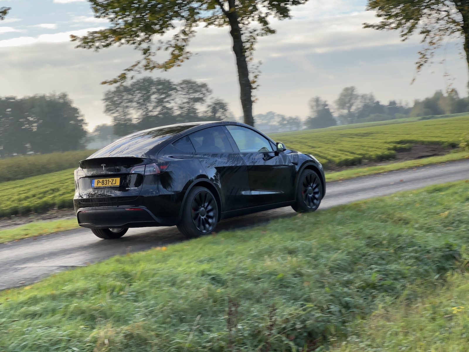 Tesla Model Y Performance