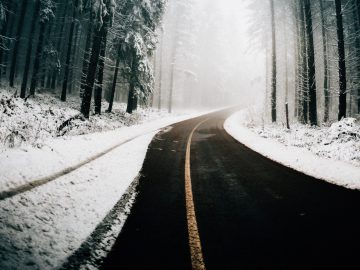 Een bochtige weg slingert door een besneeuwd bos, met bomen aan weerszijden en mist in de verte, perfect voor het testen van de ultieme wintersportauto voor 15.000 euro.