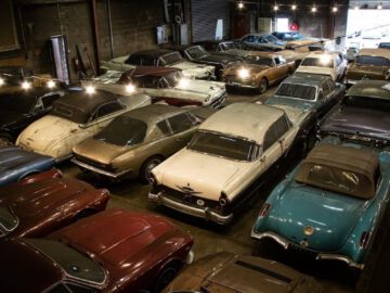 Palmen Barnfind Dordrecht