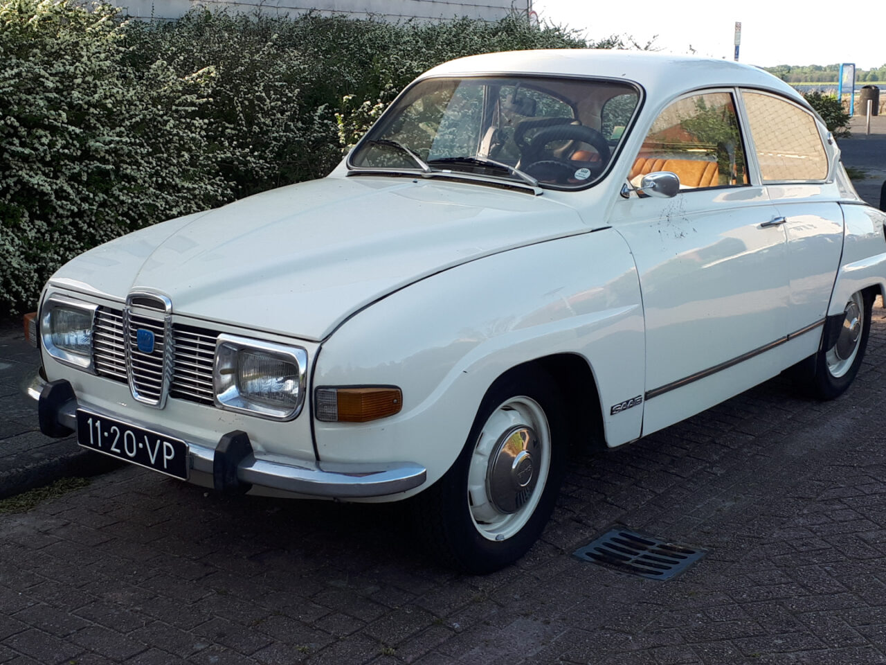 Een witte klassieke Saab 96 staat geparkeerd op een verhard terrein nabij struiken. Op het kenteken staat "11-20-VP.