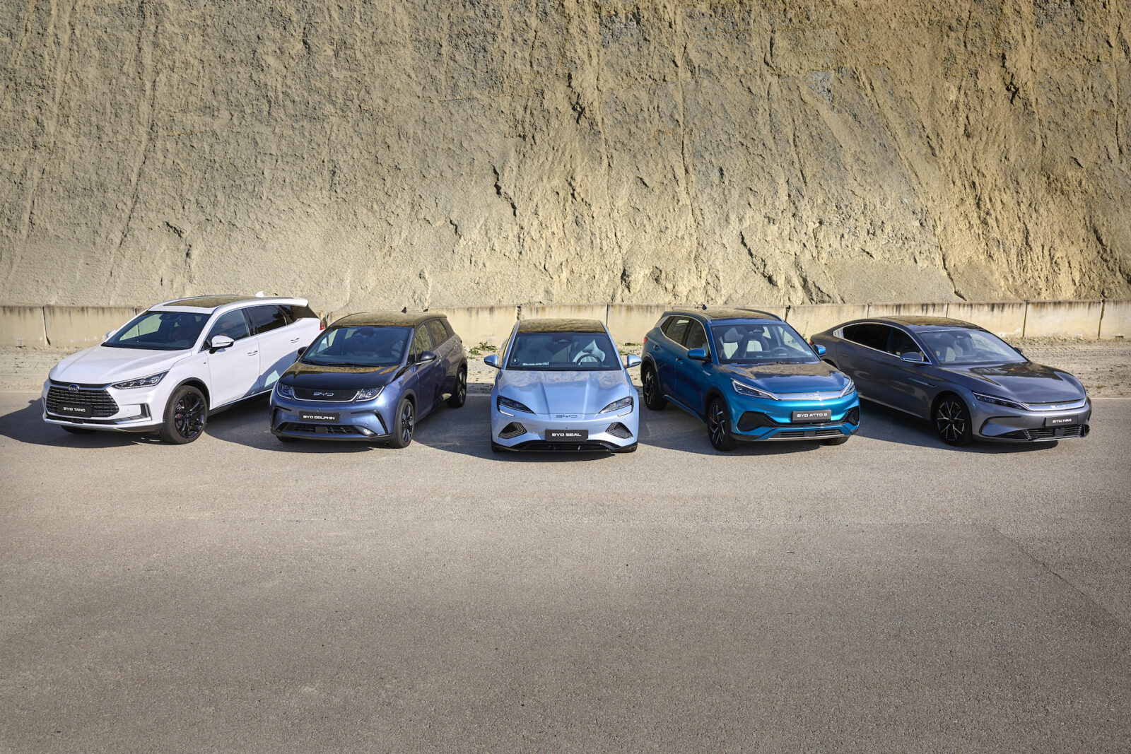 Vijf auto's, waaronder een slanke BYD Dolphin, staan geparkeerd op een verhard oppervlak voor een rotsachtige klif. De voertuigen variëren in kleur, variërend van wit tot blauw- en grijstinten.
