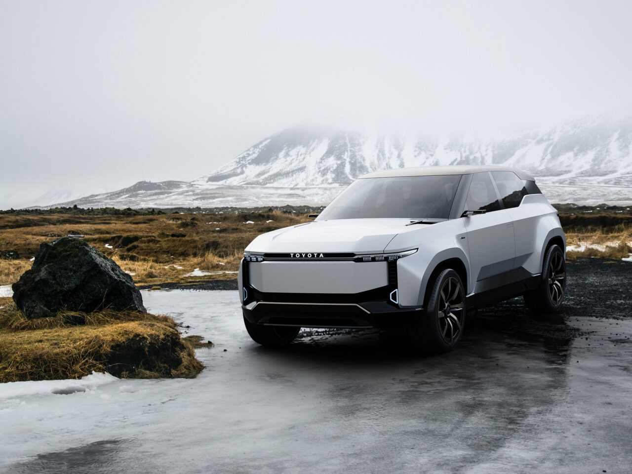 Toyota Land Cruiser SE