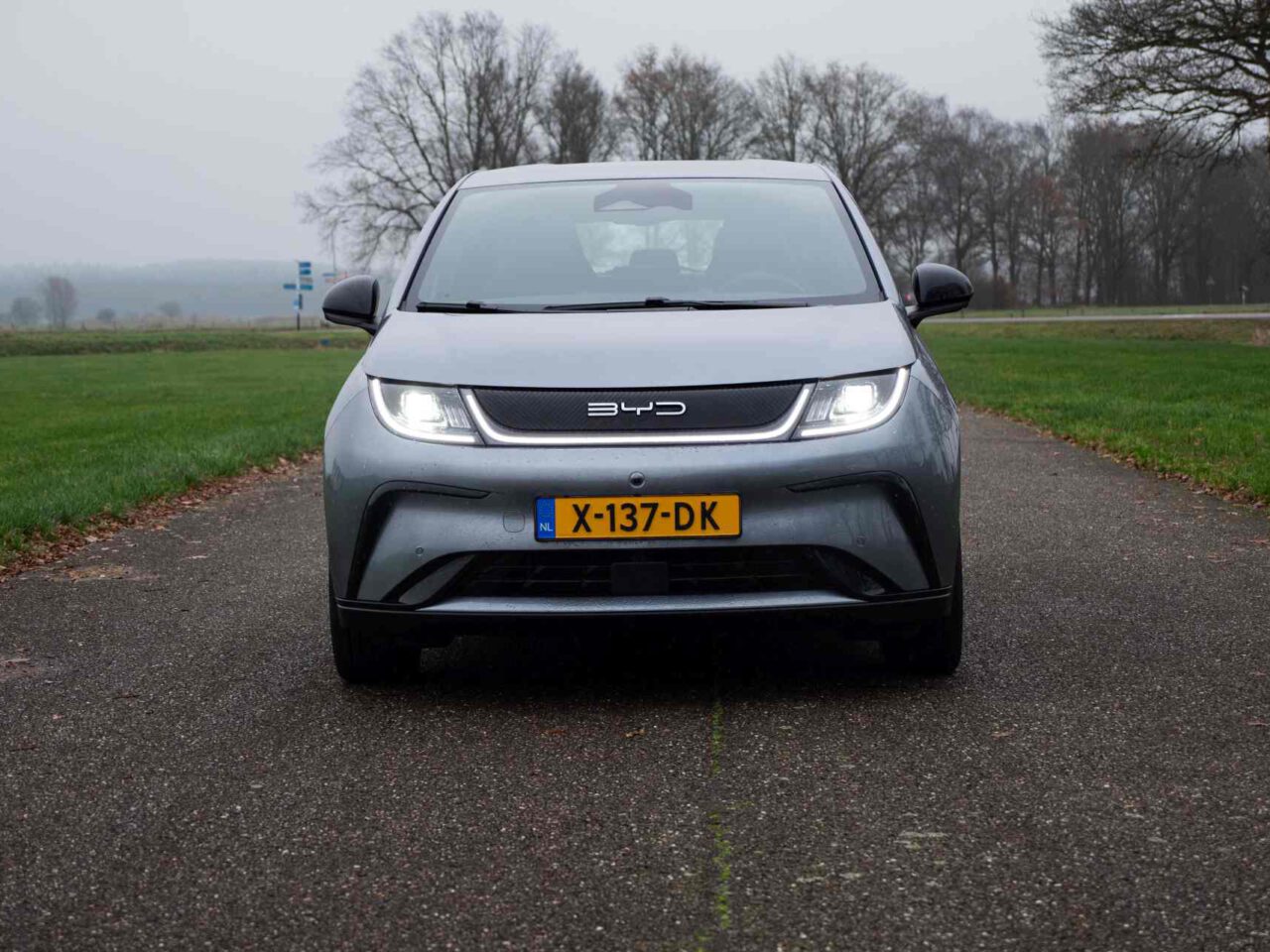 Op een landelijke weg staat een grijze BYD Dolphin elektrische auto met kenteken X-137-DK geparkeerd, met groen gras en kale bomen op de achtergrond.