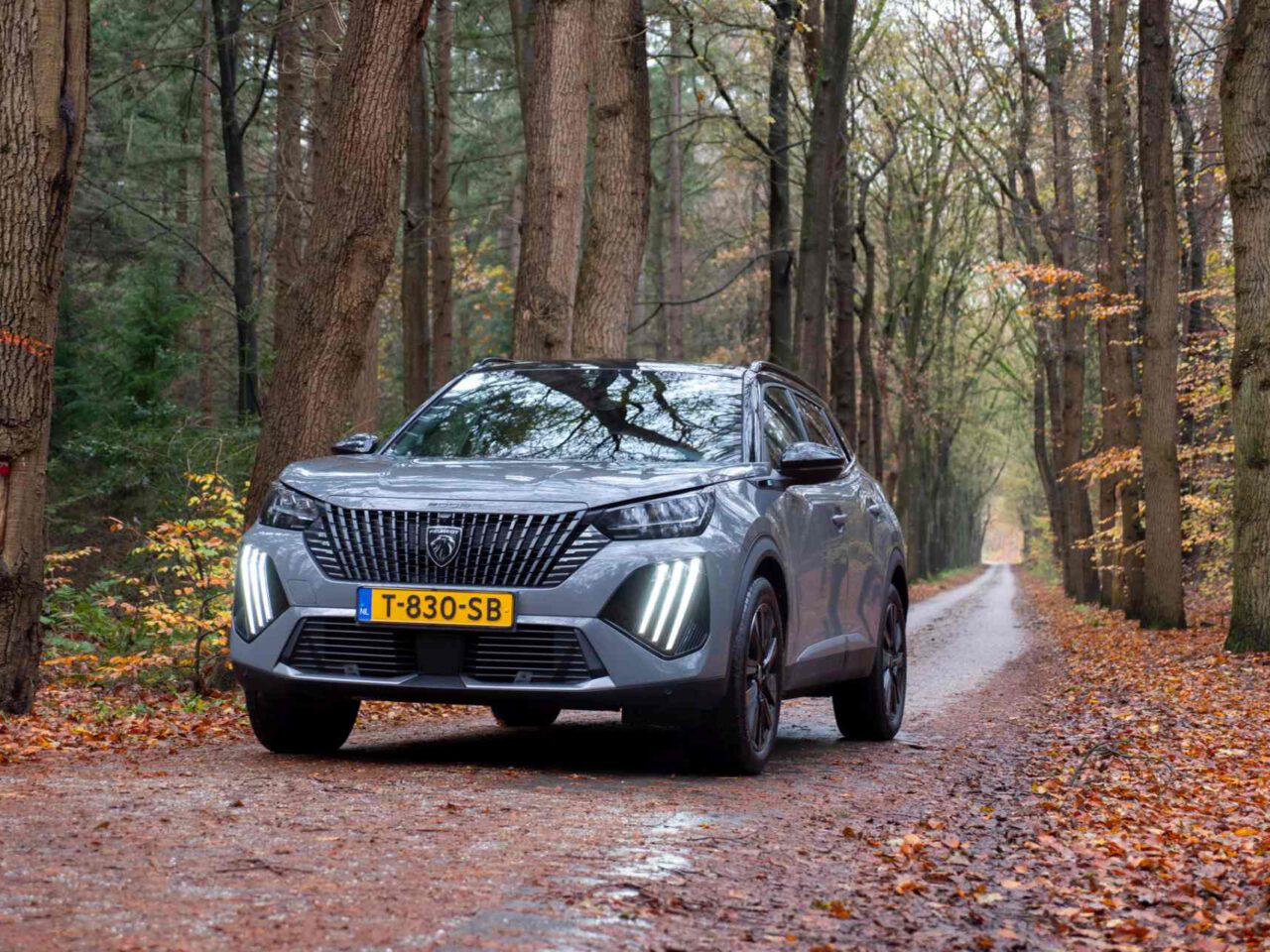 Een zilveren Peugeot 2008 SUV rijdt over een smalle, met bomen omzoomde bosweg met herfstbladeren verspreid op de grond.