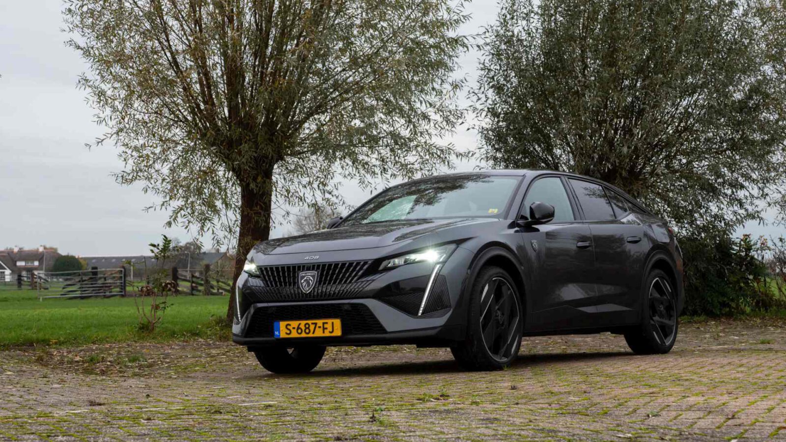 Een slanke, grijze Peugeot-auto staat elegant geparkeerd op een geplaveide ondergrond, omlijst door weelderige bomen en een open veld op de achtergrond.