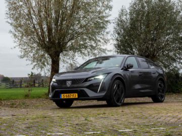 Een slanke, grijze Peugeot-auto staat elegant geparkeerd op een geplaveide ondergrond, omlijst door weelderige bomen en een open veld op de achtergrond.