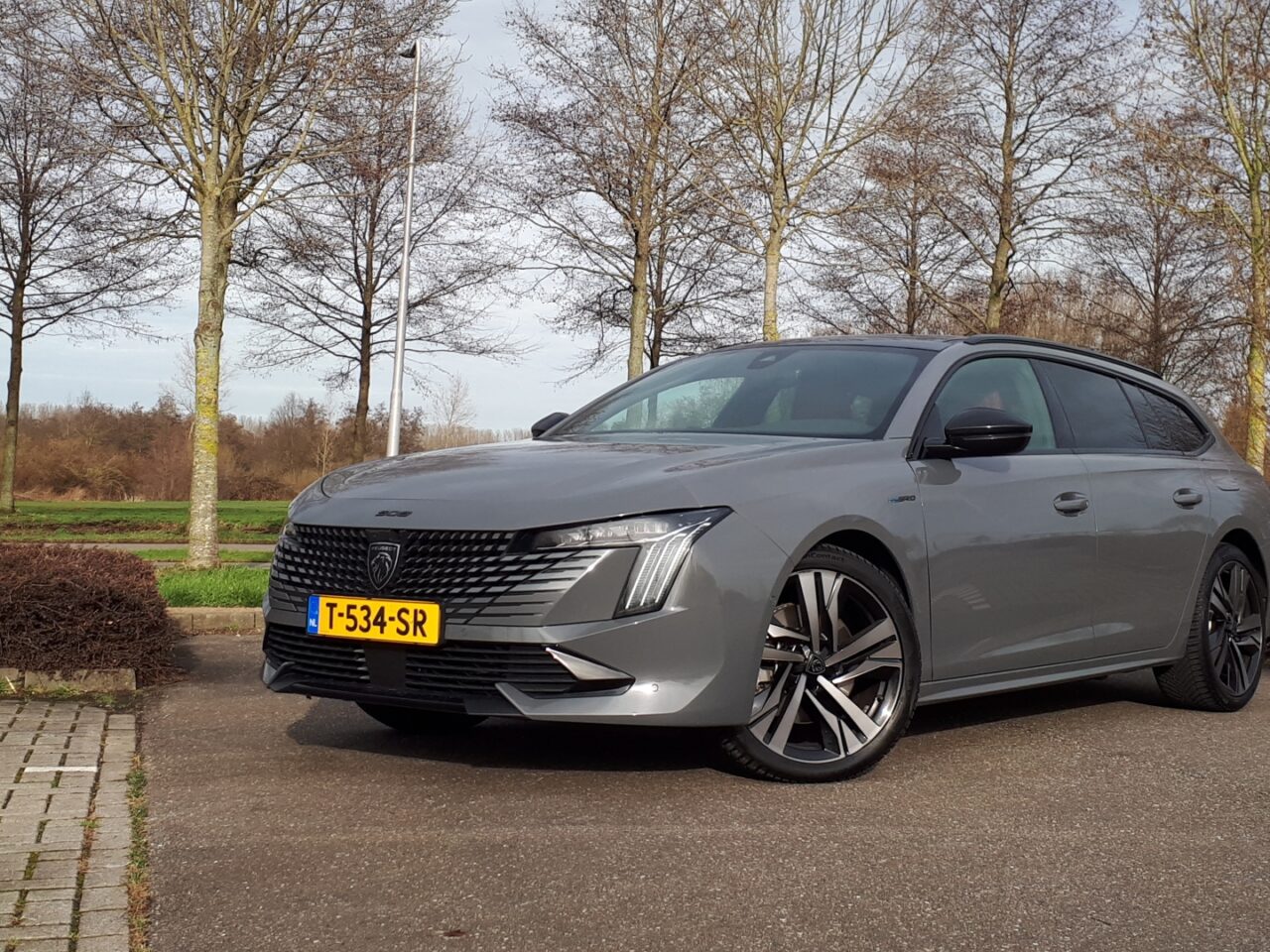 Een grijze Peugeot 508 sedan met Nederlands kenteken "T-534-SR" staat geparkeerd op een verhard terrein omringd door bladerloze bomen en een met gras begroeid park.