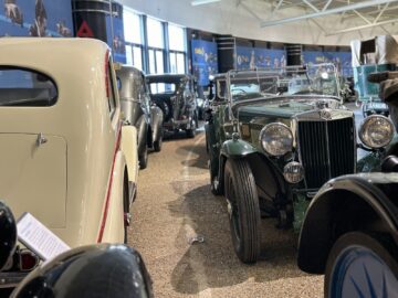 Een reportagewaardige tentoonstelling in het British Motor Museum toont een verzameling oldtimers binnenshuis, met een groene cabriolet op de voorgrond en andere klassieke voertuigen in rijen op de achtergrond.