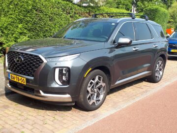 Gespot: een Hyundai Palisade ...