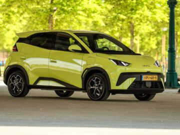 BYD Dolphin Surf 2025