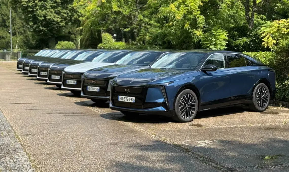 DS No8 line-up