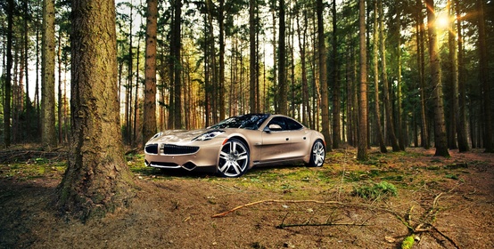 Nog genoeg Fiskers Karma tot april ...