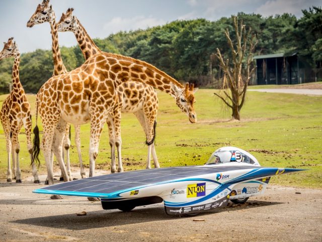 Op zonne-energie door de dierentuin ...